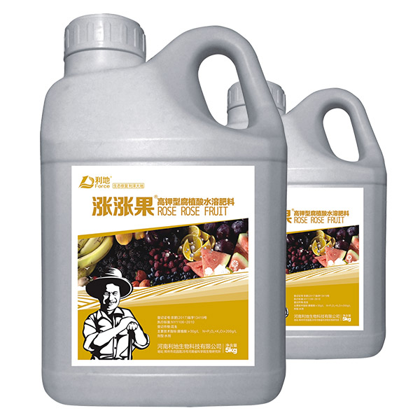 涨涨果