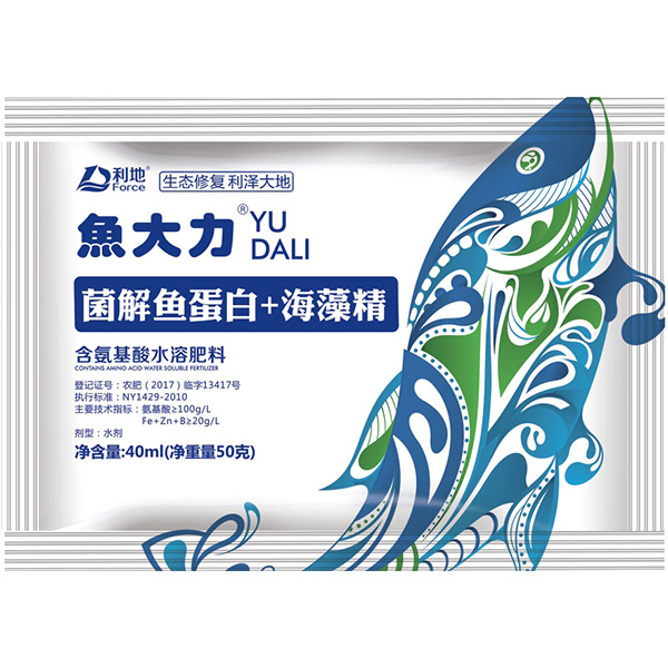 鱼大力
